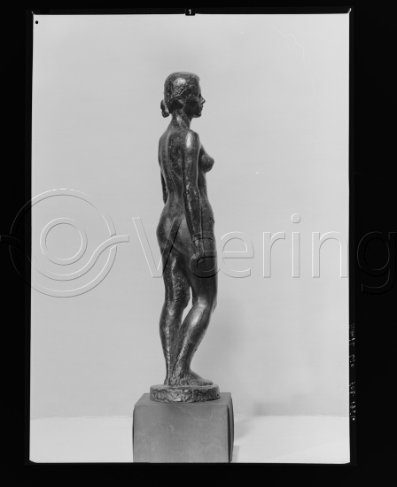 Glassplate og negativ film