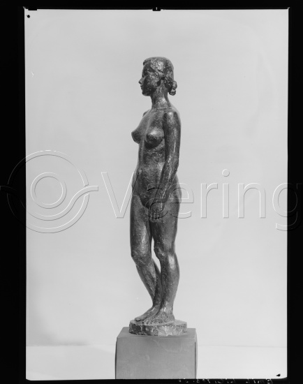 Glassplate og negativ film