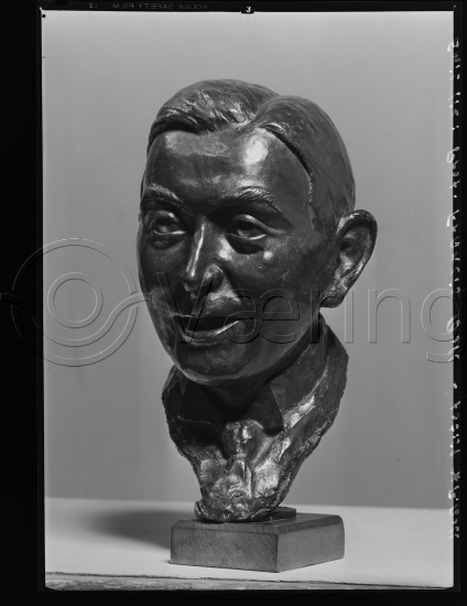 Glassplate og negativ film