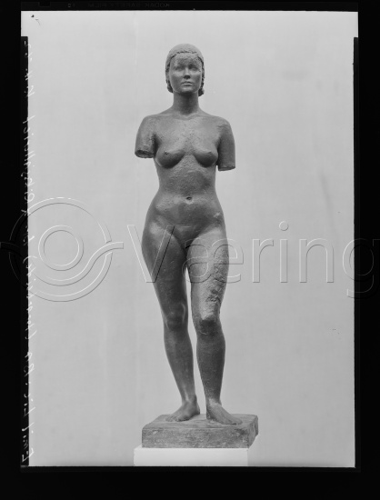 Glassplate og negativ film