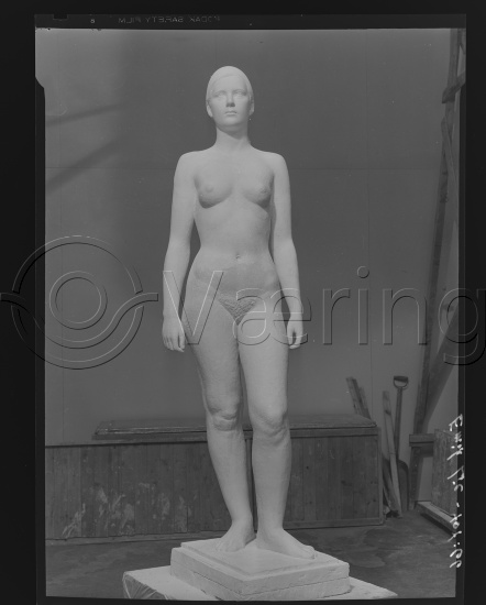 Glassplate og negativ film