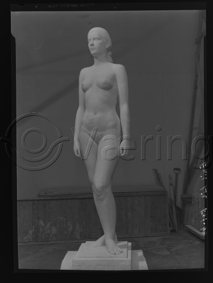 Glassplate og negativ film