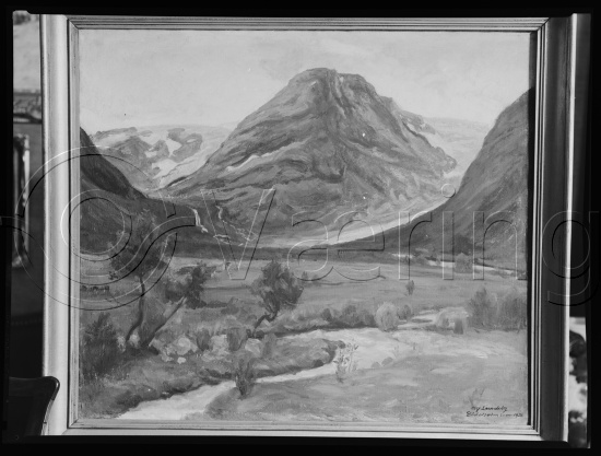 Glassplate og negativ film