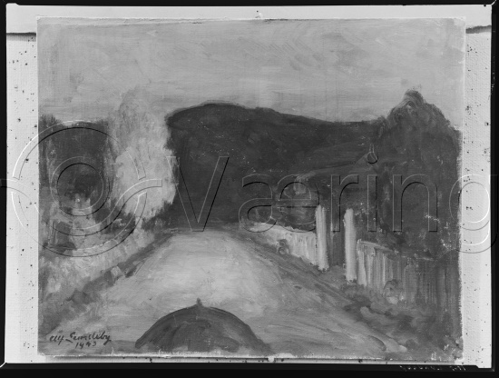 Glassplate og negativ film