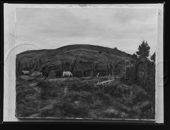 Glassplate og negativ film