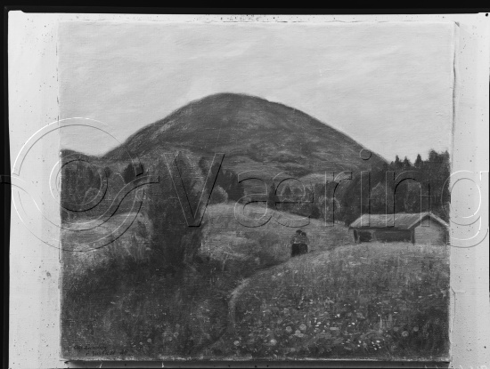 Glassplate og negativ film