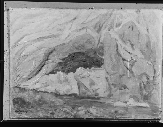 Glassplate og negativ film