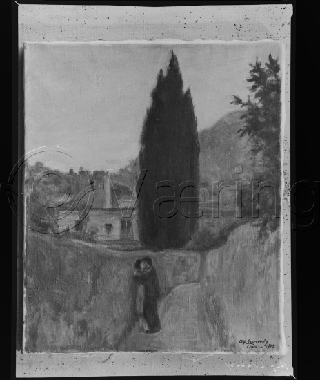 Glassplate og negativ film