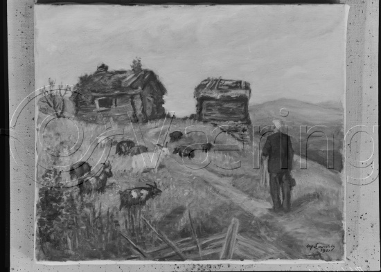 Glassplate og negativ film