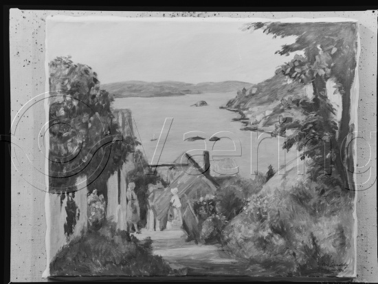 Glassplate og negativ film