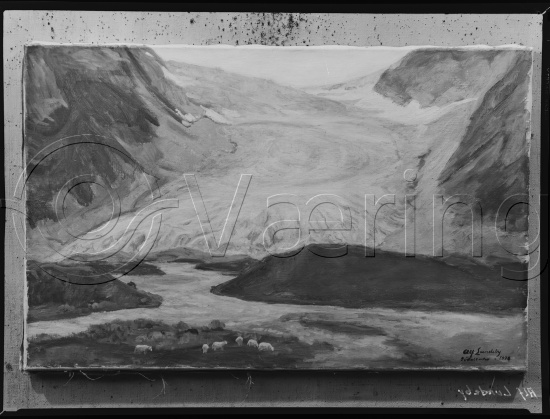 Glassplate og negativ film