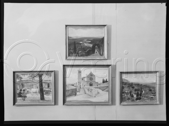 Glassplate og negativ film