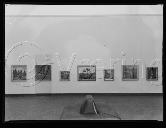 Glassplate og negativ film