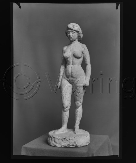 Glassplate og negativ film