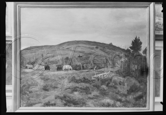 Glassplate og negativ film