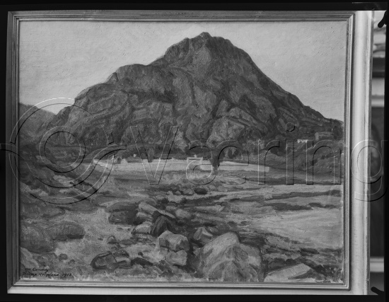 Glassplate og negativ film