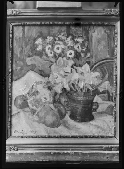 Glassplate og negativ film