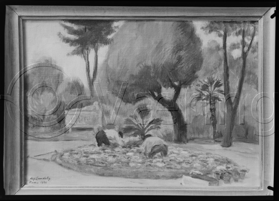 Glassplate og negativ film