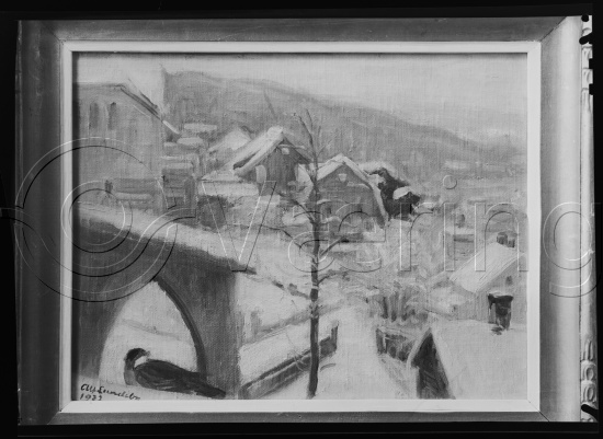 Glassplate og negativ film