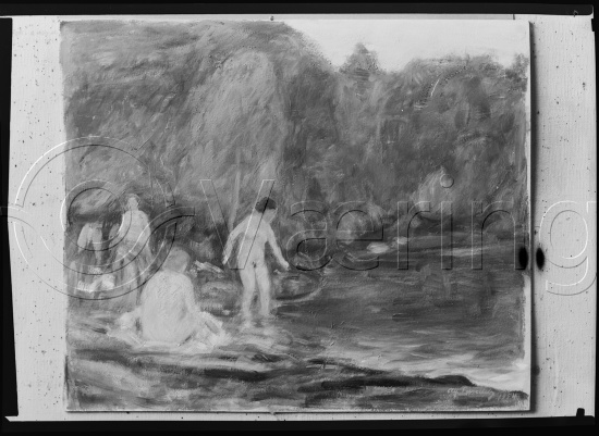 Glassplate og negativ film