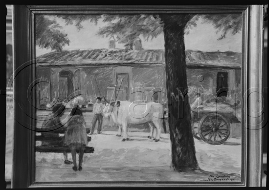 Glassplate og negativ film