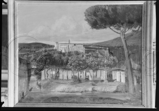 Glassplate og negativ film