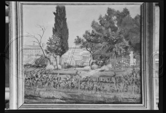 Glassplate og negativ film