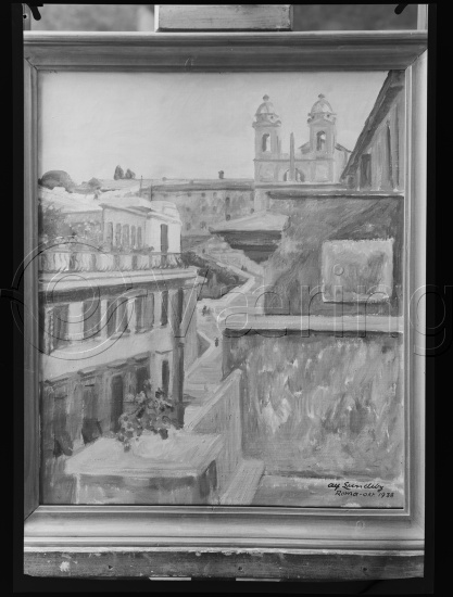 Glassplate og negativ film