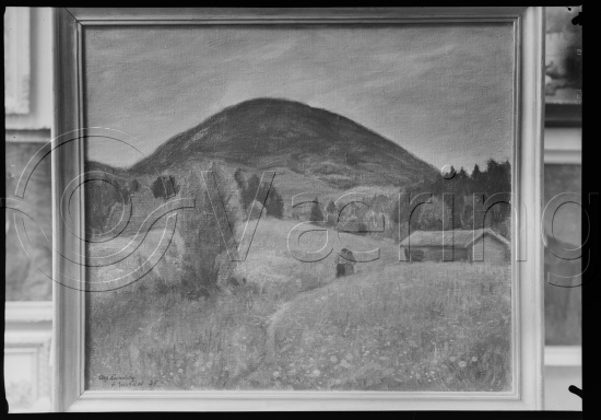 Glassplate og negativ film