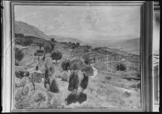 Glassplate og negativ film