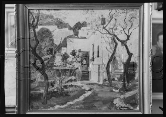 Glassplate og negativ film