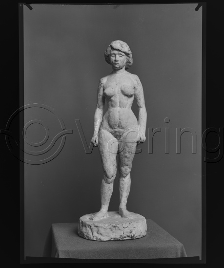 Glassplate og negativ film