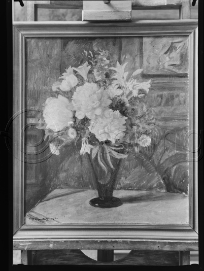 Glassplate og negativ film