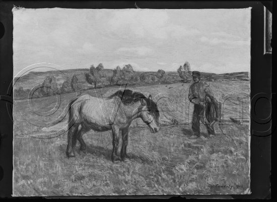 Glassplate og negativ film