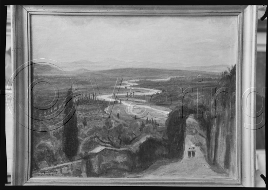 Glassplate og negativ film