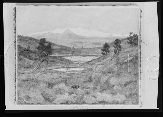 Glassplate og negativ film