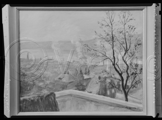 Glassplate og negativ film