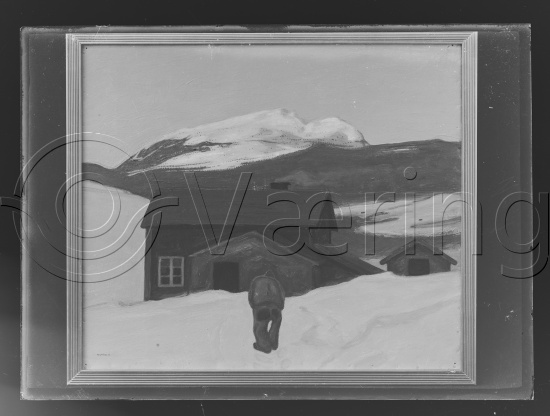 Glassplate og negativ film