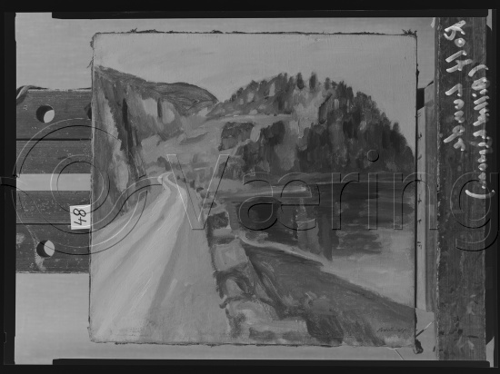 Glassplate og negativ film