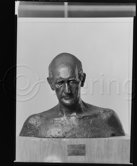 Glassplate og negativ film