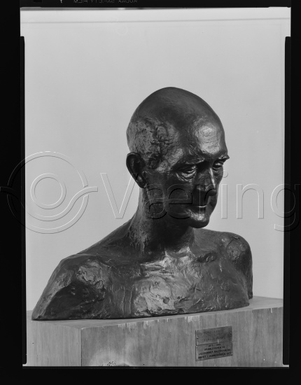 Glassplate og negativ film