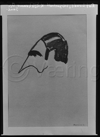 Glassplate og negativ film