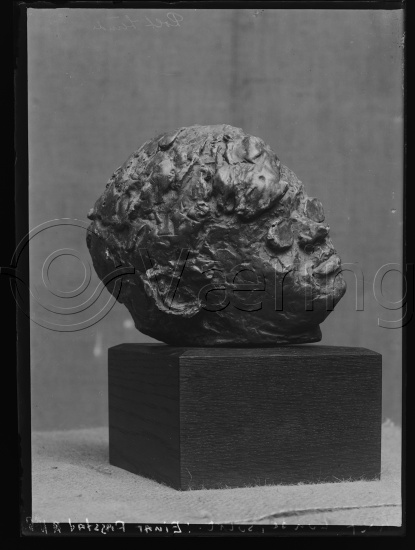 Glassplate og negativ film