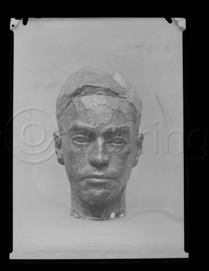 Glassplate og negativ film