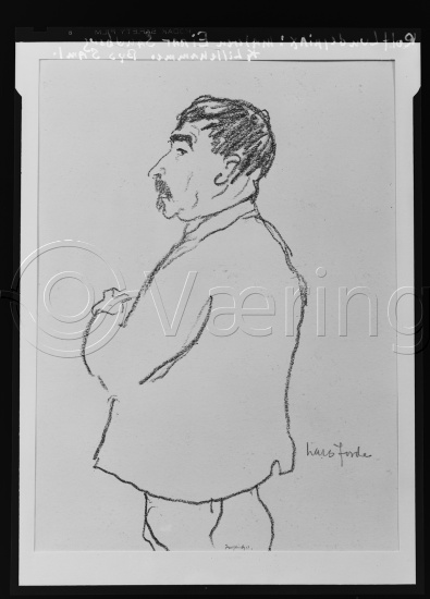 Glassplate og negativ film