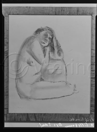 Glassplate og negativ film