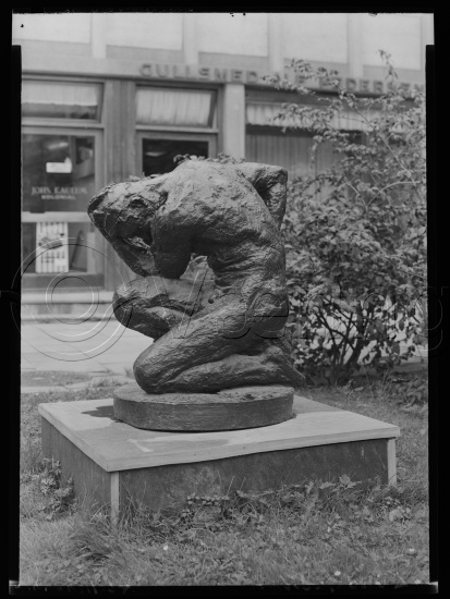 Glassplate og negativ film