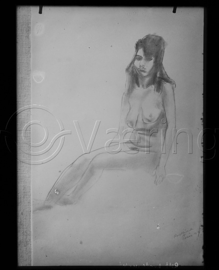 Glassplate og negativ film