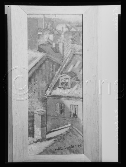 Glassplater og negativer film