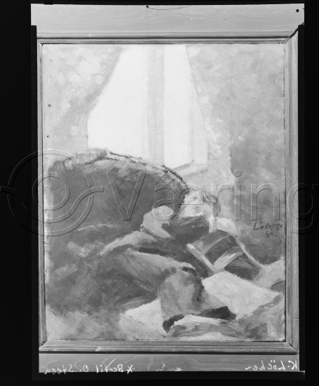 Glassplater og negativer film